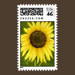 Sunshine On A Stick Postage Stamp stamps