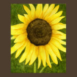 Sunshine On A Stick Print posters