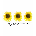 Sunshine On A Stick T-Shirt