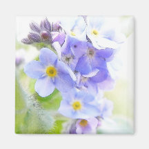 Sunshine On Blue Forget Me Nots Fridge Magnets