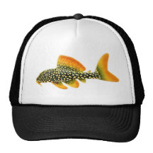 Sunshine Pleco Catfish Hat