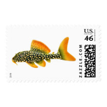 Sunshine Pleco Catfish Postage postage