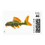 Sunshine Pleco Catfish Postage postage