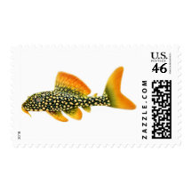 Sunshine Pleco Catfish Postage