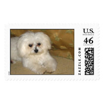 sunshine postage