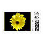 Sunshine Postage Stamps
