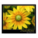 Sunshine posters by GreenK Sunshine posters