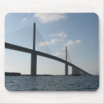 mouse, skyway, sunshine, bridge