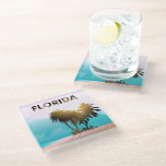 Sunshine State Glass Coaster