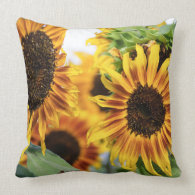 Sunshine Throw Pillow
