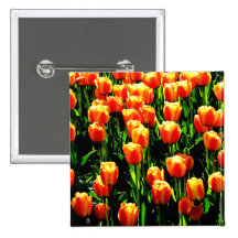Sunshine Tulips Button