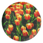 Sunshine Tulips Party Plate