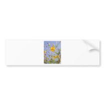 Sunshine Yellow Bumper Stickers