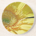 Sunshine Yellow Gerbera Daisy Beverage Coaster