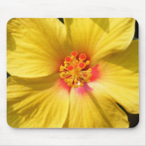Sunshine Yellow Hibiscus Mousepad