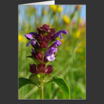 Sunshiny day blossoming flower cards