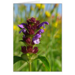 Sunshiny day blossoming flower greeting card