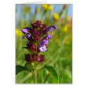 Sunshiny day blossoming flower card