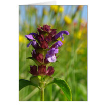 Sunshiny day blossoming flower cards