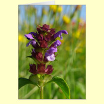 Sunshiny day blossoming flower cards