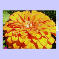Sunshiny Day cards