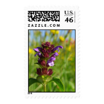 Sunshiny day - lila flower postage by Rainmountain Sunshiny day - lila flower postage