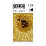Sunspot in Gold Postage
