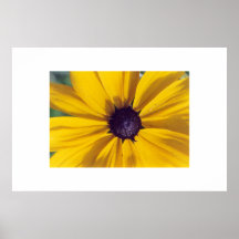 Sunspot Print