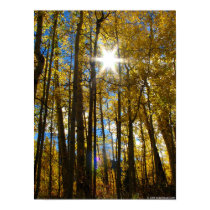 Sunstar posters