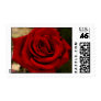 SunSuzi Designs - Red Ros...