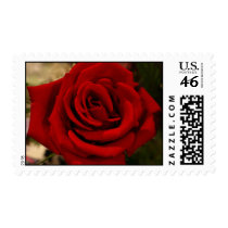 SunSuzi Designs - Red Rose Postage