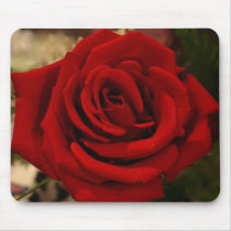 SunSuzi Image - Red Rose Mousepad