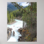 Sunwapta falls, Alberta, Canada Poster
