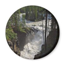 Sunwapta Falls in Jasper National Park Magnet