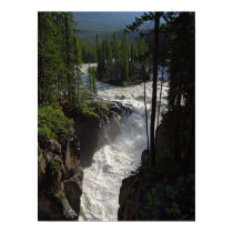 Sunwapta Falls Jasper National Park posters
