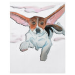 Super  beagle flyers
