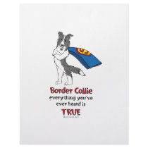Super Border Collie blue merle Letterhead Design