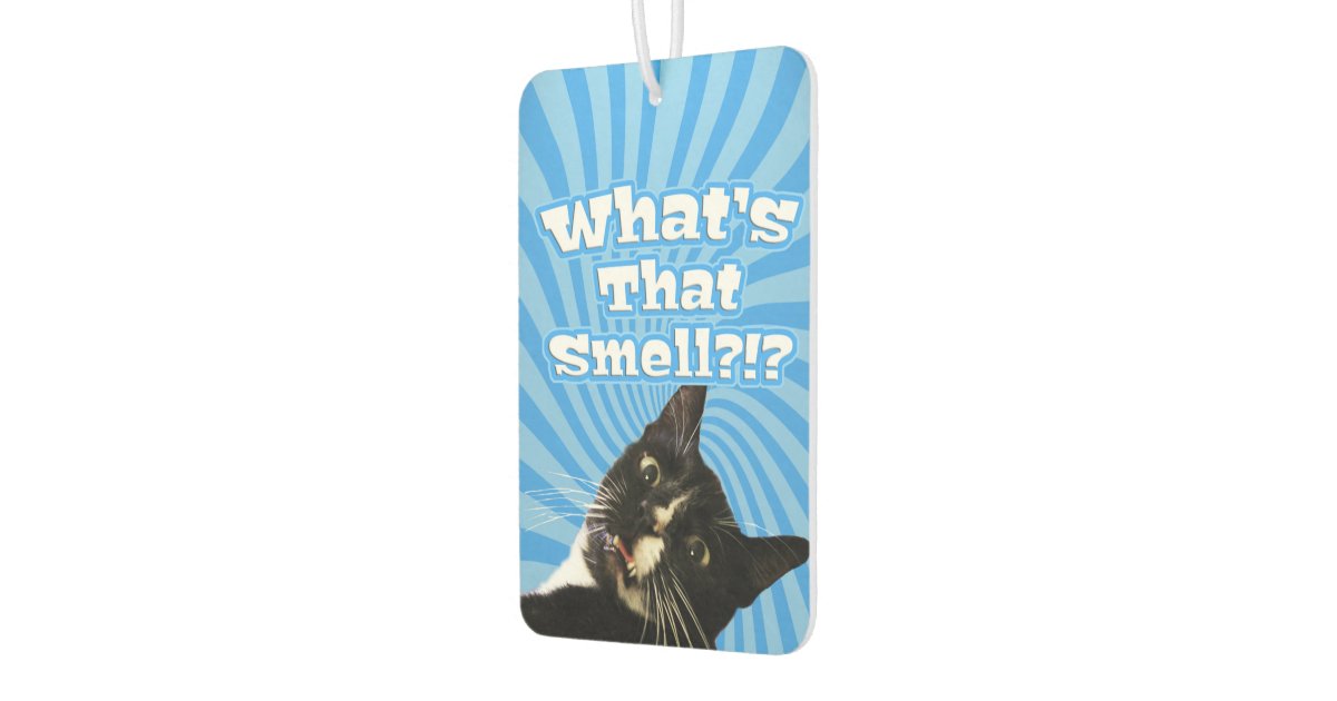 Super Funny Cat Car Air Freshener Zazzle