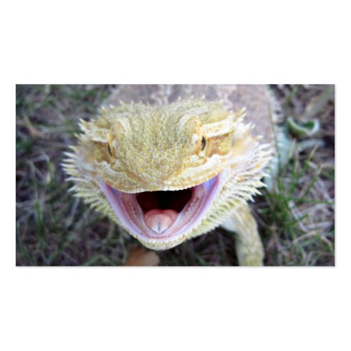 Super Happy Bearded Dragon Business Card Template (front side)
