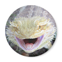 Super Happy Bearded Dragon Fridge Magnets