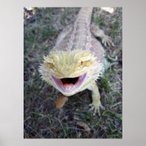 Super Happy Bearded Dragon Poster