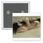 Super Hero Kitty Cat Pinback Buttons