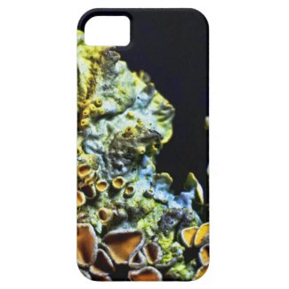 Super Macro Tree Lichen iPhone 5 case