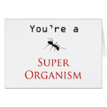 Super Organism cards