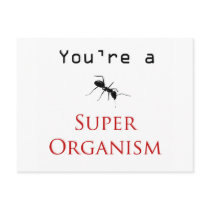 Super Organism Post Cards