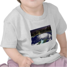 Super Storm Sandy 2012,Eye of the storm_ T Shirt