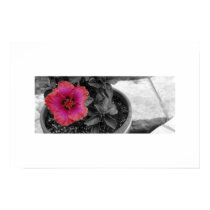 Superciliousness posters