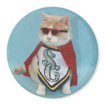 Superhero Bubba magnets
