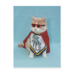 Superhero Bubba Post Card