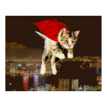 Superkitty! posters